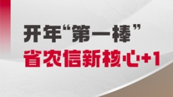 中标开门红！Z6官网人生就是博科技与省级农商联合银行共创新核心农信样板