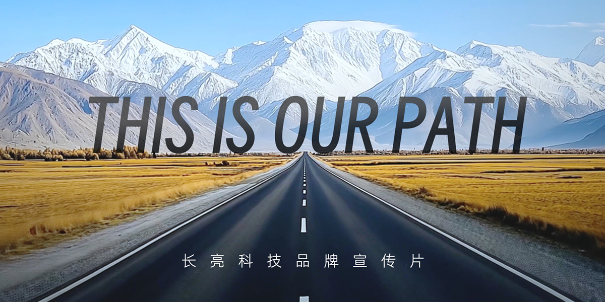 公司介绍